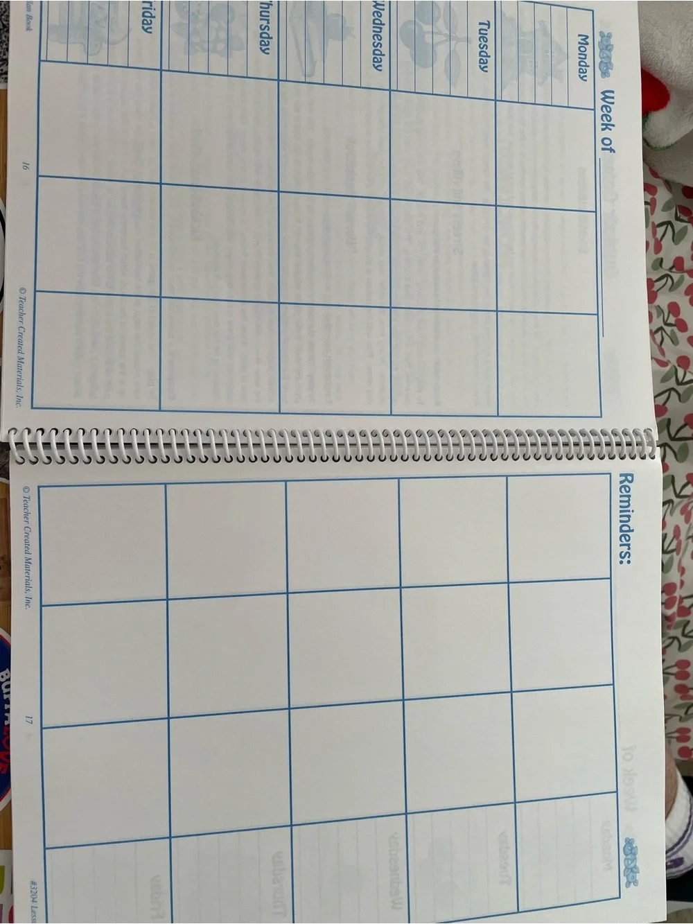 Mary Engelbreit Lesson Plan Book for teachers